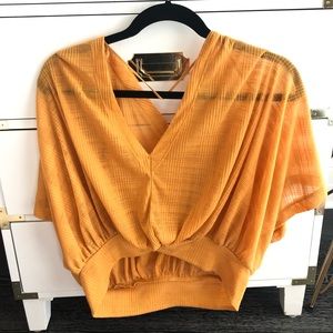 Free people crop burnt orange top